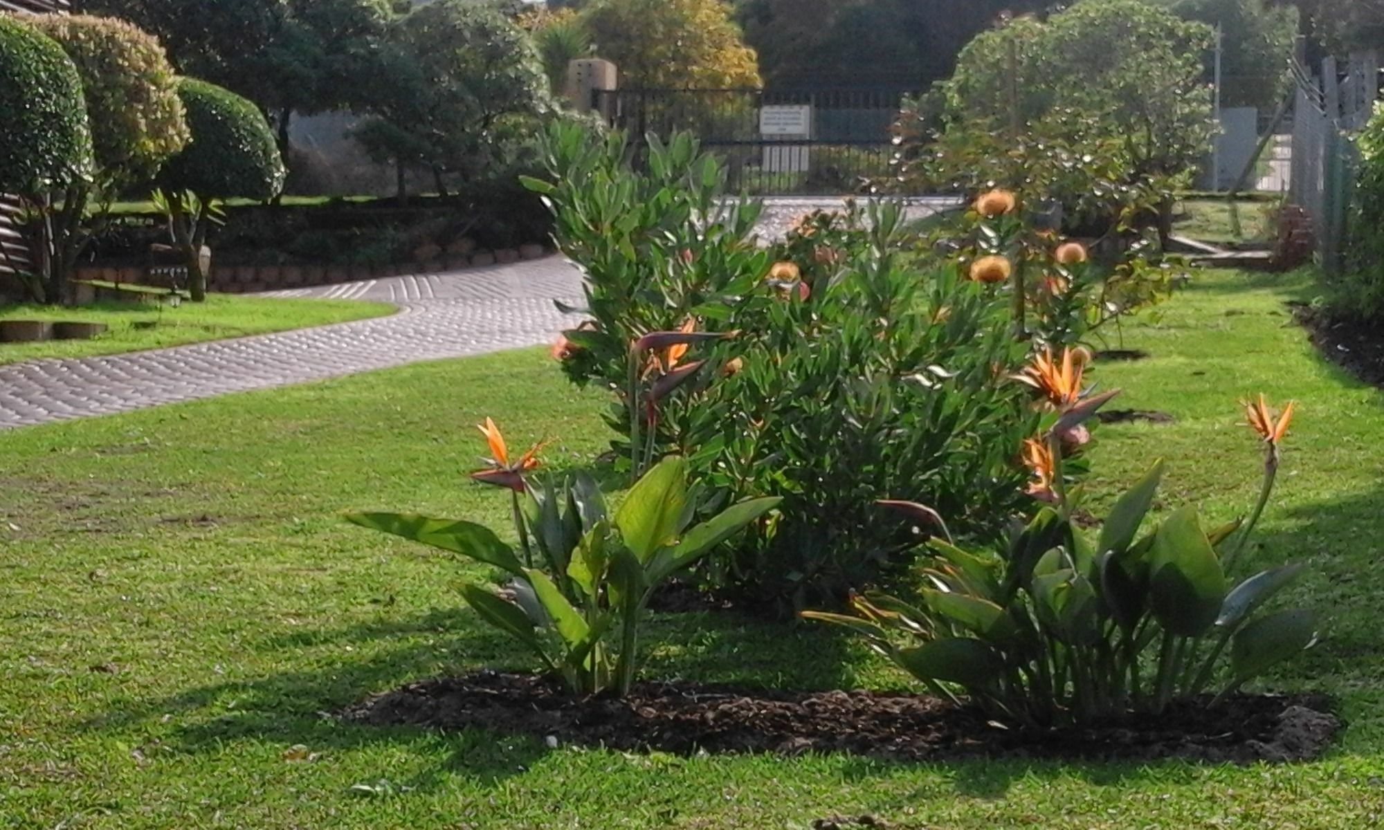 Horizon Cottages Noordhoek Exterior photo